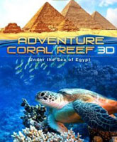 Adventure coral reef 3D: Under the sea of Egypt /   3D:   